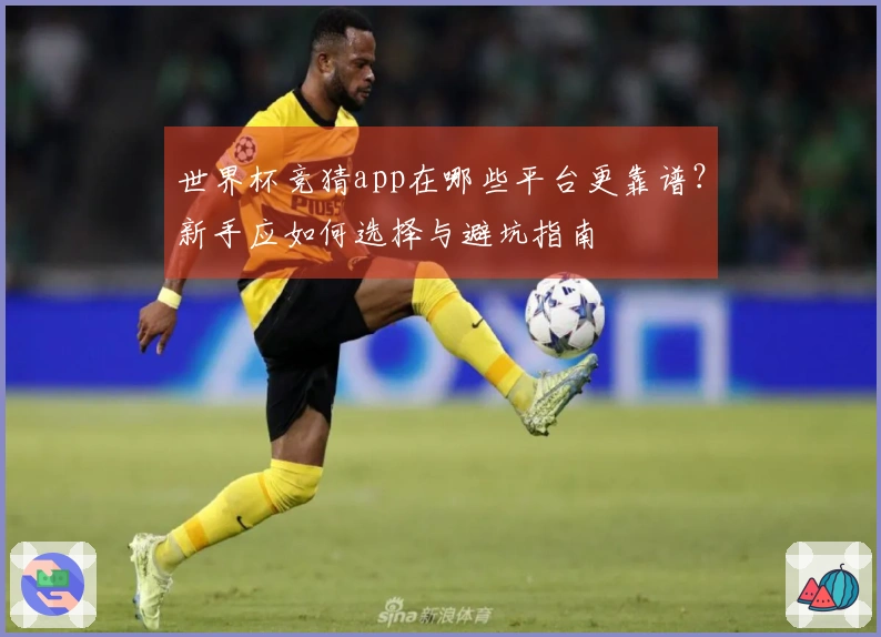 世界杯竞猜app在哪些平台更靠谱？新手应如何选择与避坑指南