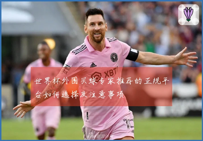 世界杯外围买球专家推荐的正规平台如何选择及注意事项