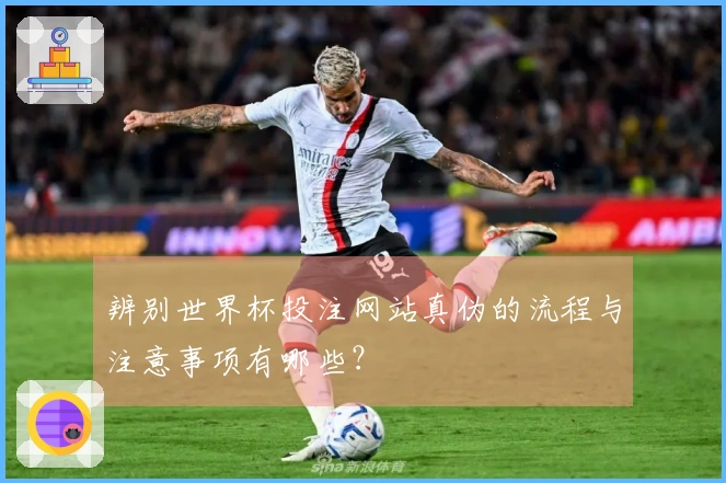 辨别世界杯投注网站真伪的流程与注意事项有哪些？