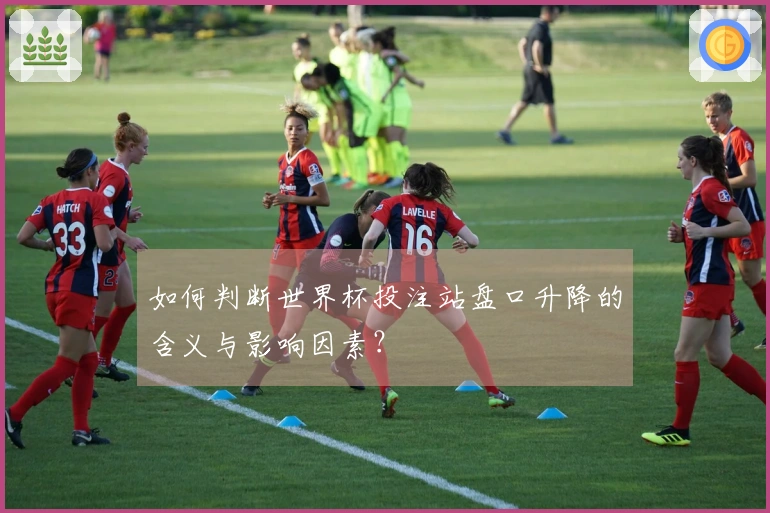如何判断世界杯投注站盘口升降的含义与影响因素？