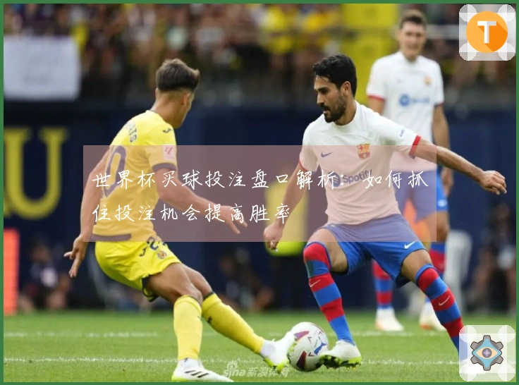 世界杯买球投注盘口解析：如何抓住投注机会提高胜率
