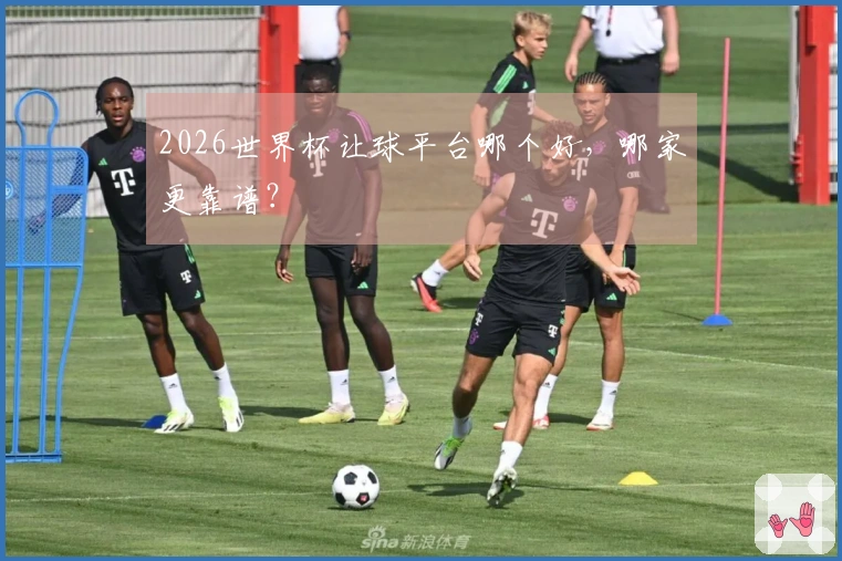 2026世界杯让球平台哪个好，哪家更靠谱？