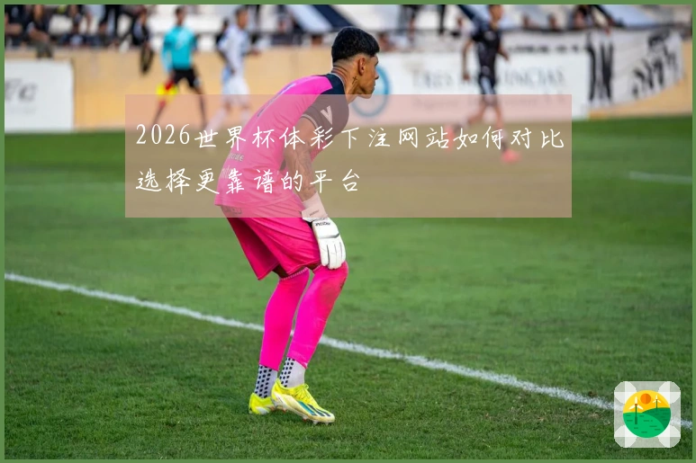 2026世界杯体彩下注网站如何对比选择更靠谱的平台