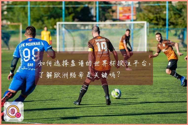 如何选择靠谱的世界杯投注平台，了解欧洲赔率是关键吗？