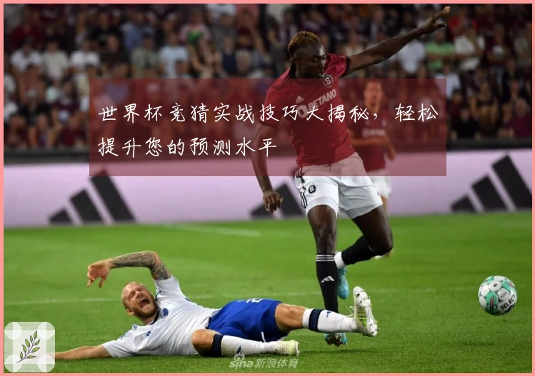 世界杯竞猜实战技巧大揭秘，轻松提升您的预测水平