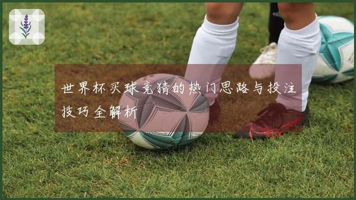 世界杯买球竞猜的热门思路与投注技巧全解析