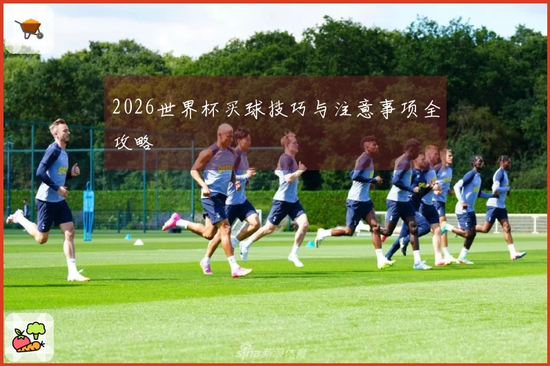 2026世界杯买球技巧与注意事项全攻略