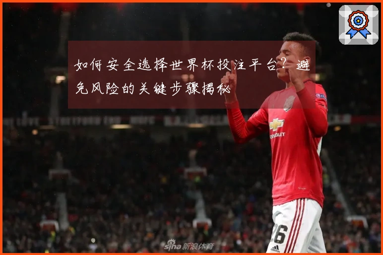 如何安全选择世界杯投注平台？避免风险的关键步骤揭秘