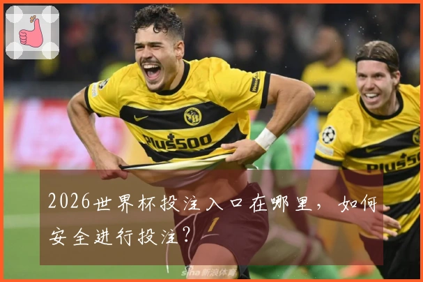 2026世界杯投注入口在哪里，如何安全进行投注？