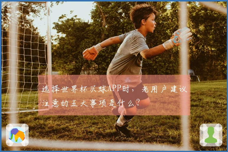 选择世界杯买球APP时，老用户建议注意的五大事项是什么？