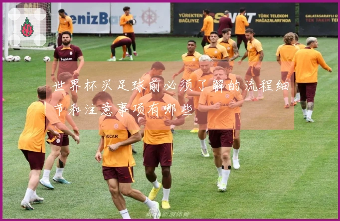 世界杯买足球前必须了解的流程细节和注意事项有哪些