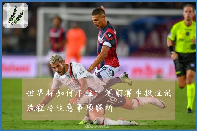 世界杯如何下注：赛前赛中投注的流程与注意事项解析