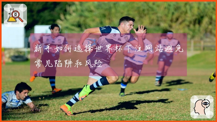新手如何选择世界杯下注网站避免常见陷阱和风险