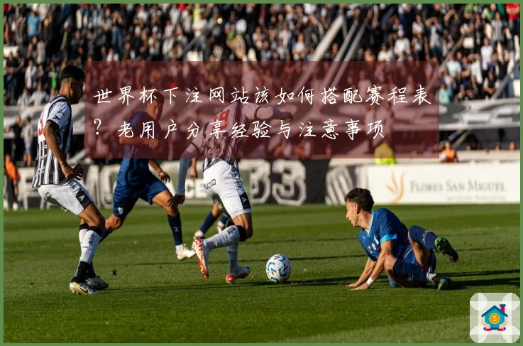 世界杯下注网站该如何搭配赛程表？老用户分享经验与注意事项