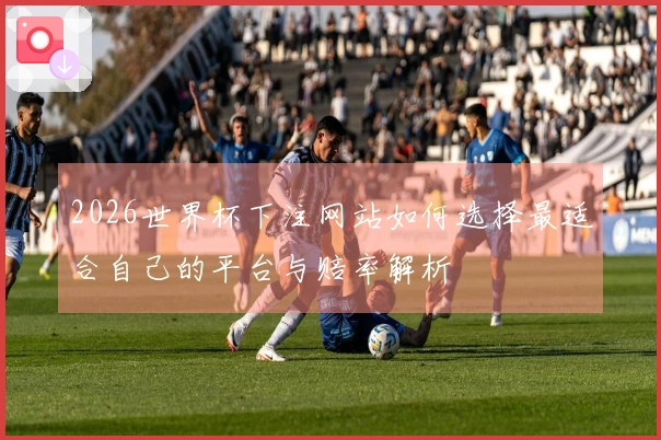 2026世界杯下注网站如何选择最适合自己的平台与赔率解析