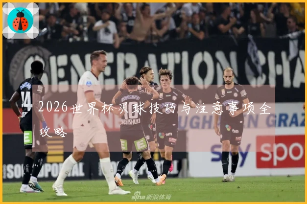 2026世界杯买球技巧与注意事项全攻略