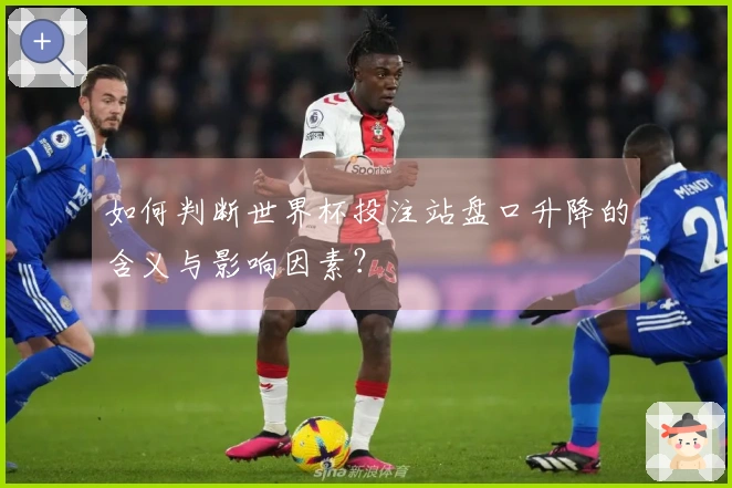 如何判断世界杯投注站盘口升降的含义与影响因素？