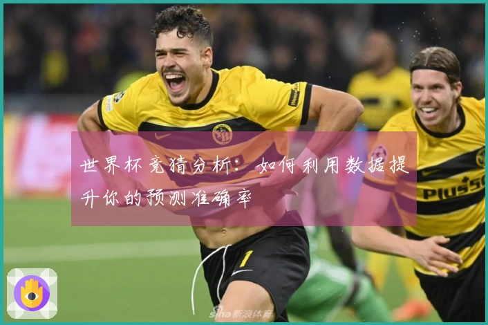 世界杯竞猜分析：如何利用数据提升你的预测准确率