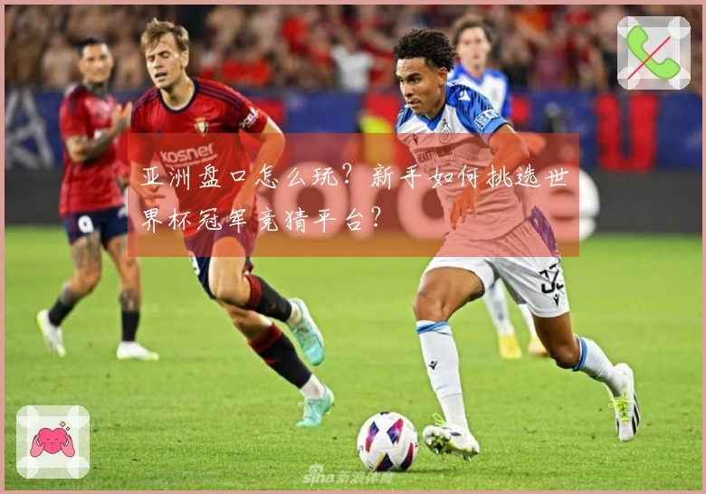 亚洲盘口怎么玩？新手如何挑选世界杯冠军竞猜平台？