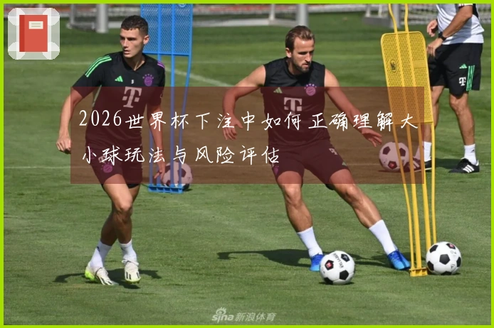 2026世界杯下注中如何正确理解大小球玩法与风险评估