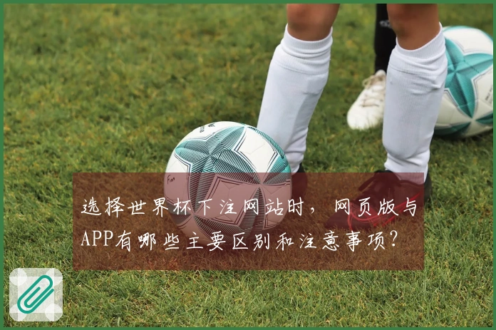 选择世界杯下注网站时，网页版与APP有哪些主要区别和注意事项？